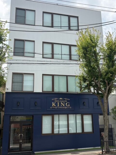 ペットサロン
KING  of  Concierge
大阪府箕面市牧落1丁目
建築施工完了致しました。
8月1日からOPENされます。
素晴らしいサロンに仕上がってますので是非一度お店に足を運んでいただけると嬉しいです🐶
まだまだ暑い日が続きますので皆様ご安全に🦺
⁡
@kingofconcierge2026